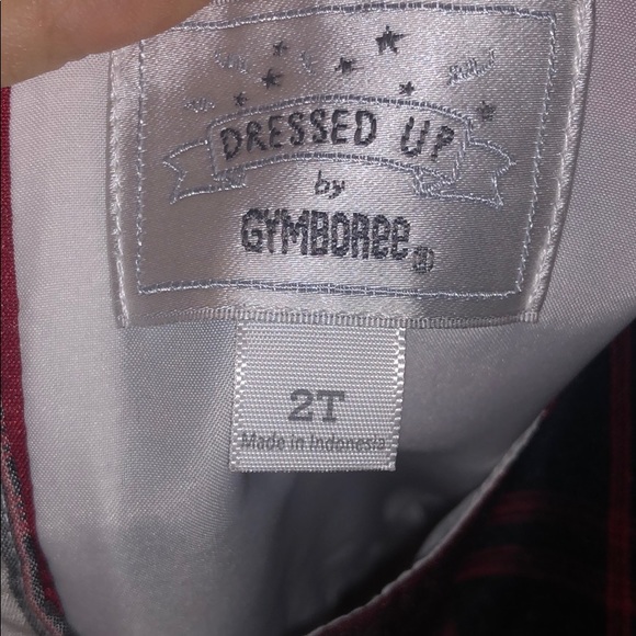 🎄Gymboree Beautiful Holiday dress 🎄 - Picture 4 of 4